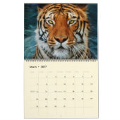 Mooie foto-kalender voor grote katten kalender (Mar 2027)