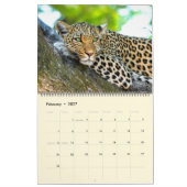Mooie foto-kalender voor grote katten kalender (Feb 2027)