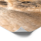 Mooie foto-Poster op lak Poster (Hoek)