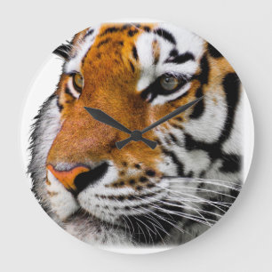 Mooie foto van Bengal Tiger Face Grote Klok