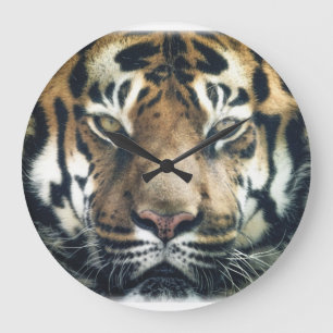 Mooie foto van Bengal Tiger Face Grote Klok