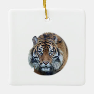 Mooie foto van Bengal Tiger Face Keramisch Ornament