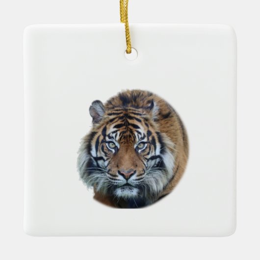 Mooie foto van Bengal Tiger Face Keramisch Ornament (Voorkant)
