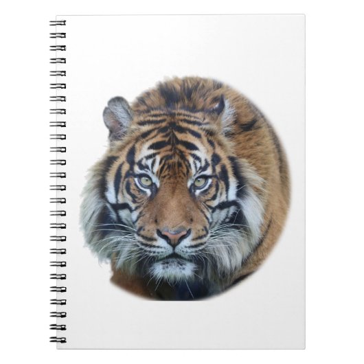 Mooie foto van Bengal Tiger Face Notitieboek (Voorkant)