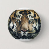 Mooie foto van Bengal Tiger Face Ronde Button 5,7 Cm (Voorkant)