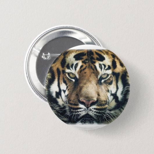 Mooie foto van Bengal Tiger Face Ronde Button 5,7 Cm (Voorkant /achterkant)
