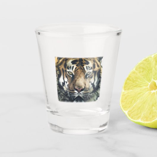 Mooie foto van Bengal Tiger Face Shot Glas (Voorkant)