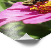 Mooie foto van bijen afdrukken foto afdruk (Hoek)