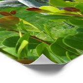 Mooie foto van Crane Bird Poster (Hoek)