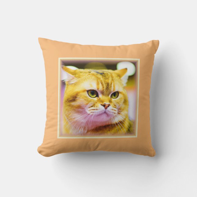 Mooie foto van een Cute Cat. Bestel nu Kussen (Voorkant)