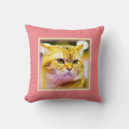 Mooie foto van een Cute Cat. Bestel nu Kussen