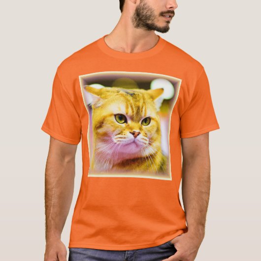 Mooie foto van een Cute Cat. Bestel nu T-shirt (Voorkant)