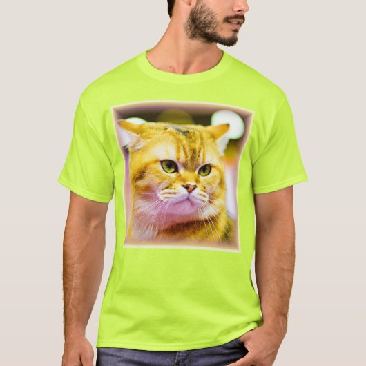 Mooie foto van een Cute Cat. Bestel nu T-shirt (Voorkant)