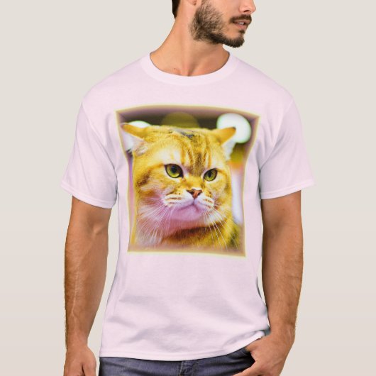 Mooie foto van een Cute Cat. Bestel nu T-shirt (Voorkant)