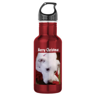 Mooie foto van een puppy-hond met Kerstmis rood Waterfles