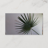 Mooie foto van een ventilatorpalmblad tegen witte  visitekaartje (Achterkant)
