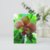 Mooie foto van exotische orchidee briefkaart (Staand voorkant)