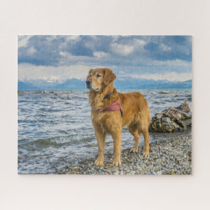 Mooie foto van Golden Retriever Dog Beach Legpuzzel