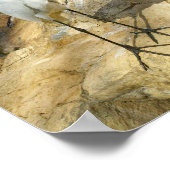 Mooie foto van grote vogelfoto poster (Hoek)