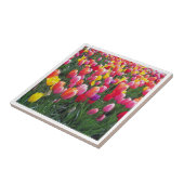 Mooie foto van het tulpfotoontwerp. tegeltje (Zijkant)