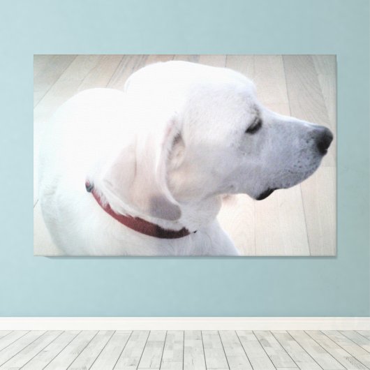 Mooie foto van het witte labrador Mix-dogprofiel Canvas Afdruk (Insitu (Houten vloer))