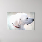 Mooie foto van het witte labrador Mix-dogprofiel Canvas Afdruk (Voorkant)