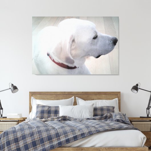 Mooie foto van het witte labrador Mix-dogprofiel Canvas Afdruk (Insitu (Slaapkamer))
