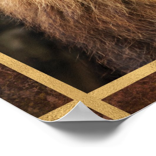 Mooie foto van Lion Face Poster (Hoek)