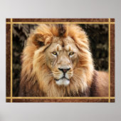 Mooie foto van Lion Face Poster (Voorkant)
