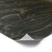 Mooie foto van Maine Coon Cat Preening Poster (Hoek)