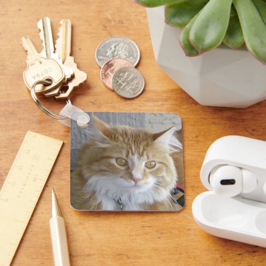 Mooie foto van Maine Coon Kitten Sleutelhanger (Bureau)