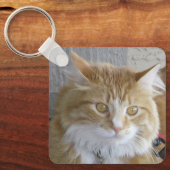 Mooie foto van Maine Coon Kitten Sleutelhanger (Voorkant)