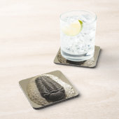 Mooie foto van Phacops trilobite fossiel Drankjes Onderzetter (Rechterzijde)