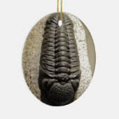 Mooie foto van Phacops trilobite fossiel Keramisch Ornament (Rechts)