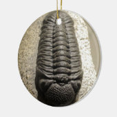 Mooie foto van Phacops trilobite fossiel Keramisch Ornament (Links)