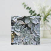 Mooie foto van Plant Kaart (Staand voorkant)