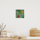Mooie foto van Red en Yellow Flame Lily Poster (Keuken)