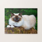 Mooie foto van Siamese kat Legpuzzel (Horizontaal)