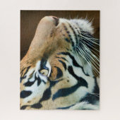 Mooie foto van Tiger Face Legpuzzel (Verticaal)