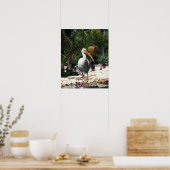 Mooie foto van tropische vogels poster (Keuken)