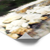 Mooie foto van tropische vogels poster (Hoek)