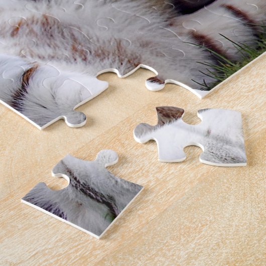 Mooie foto van White Tiger Legpuzzel (Zijkant)