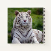 Mooie foto van White Tiger Notitieboek (Achterkant)