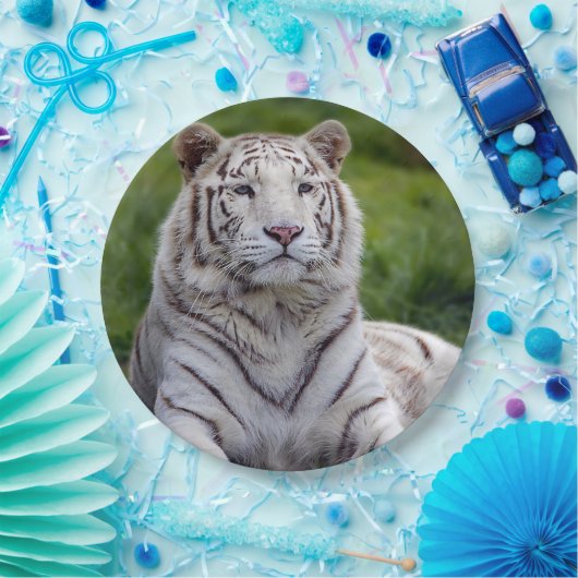 Mooie foto van White Tiger Papieren Bordje (Feest)