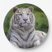 Mooie foto van White Tiger Papieren Bordje (Voorkant)