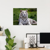 Mooie foto van White Tiger Poster (Thuiskantoor)