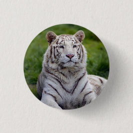 Mooie foto van White Tiger Ronde Button 3,2 Cm