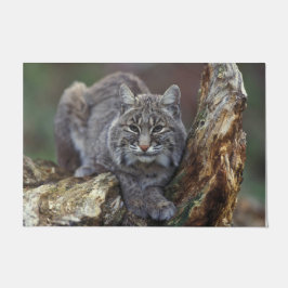 Mooie foto van Wild Bobcat Deurmat