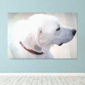 Mooie foto van wit profiel van Labradoodle-mengsel Canvas Afdruk (Insitu (Houten vloer))
