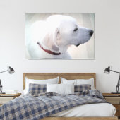 Mooie foto van wit profiel van Labradoodle-mengsel Canvas Afdruk (Insitu (Slaapkamer))